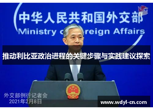 推动利比亚政治进程的关键步骤与实践建议探索