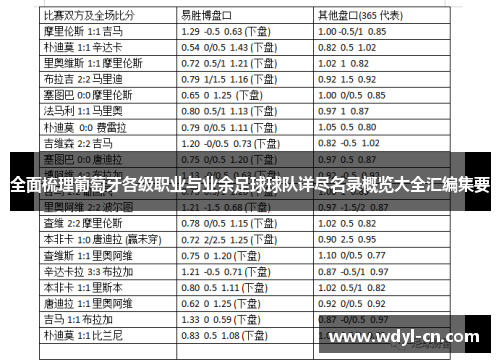 全面梳理葡萄牙各级职业与业余足球球队详尽名录概览大全汇编集要