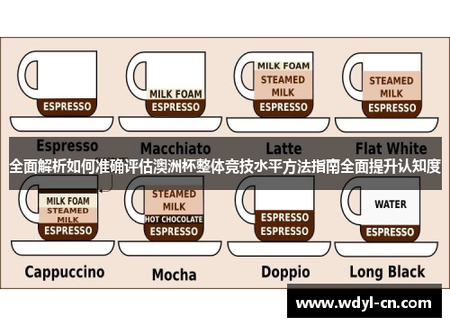 全面解析如何准确评估澳洲杯整体竞技水平方法指南全面提升认知度