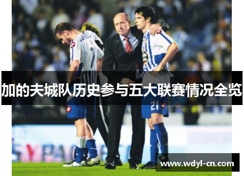 加的夫城队历史参与五大联赛情况全览